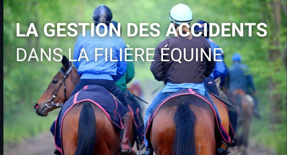 Les accidents dans la filière équine
