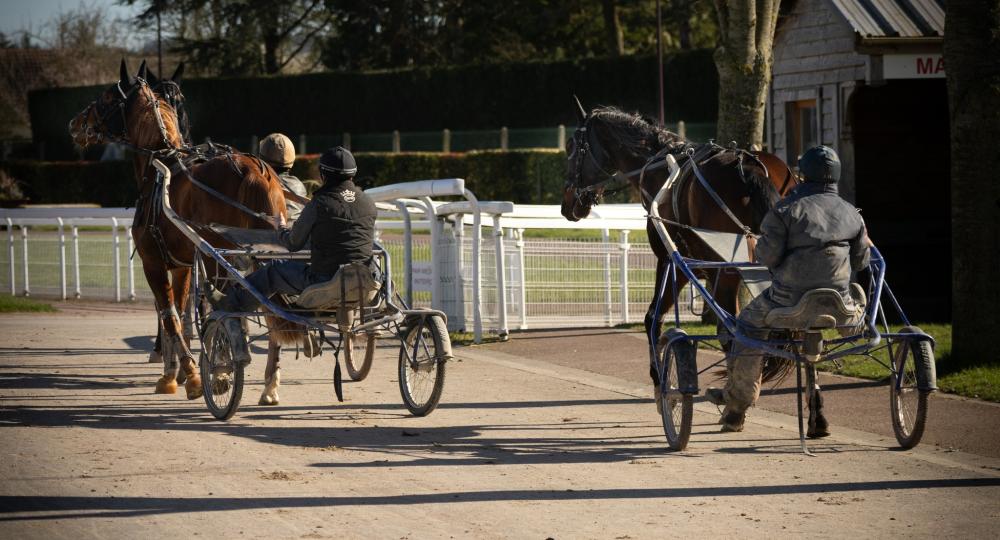 L'Ecurie Aurmath, dans l'Orne, se labellise EquuRES Bien-Être au Travail au niveau engagement