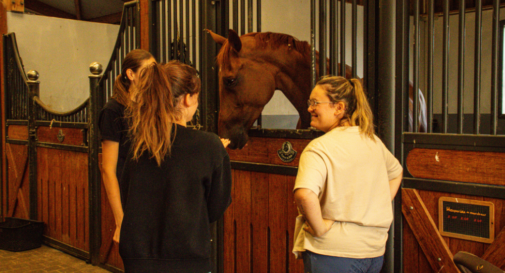 Organiser des événements de team building : pourquoi ?