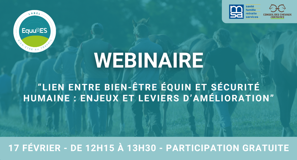 Webinaire : « Lien entre bien-être équin et sécurité humaine : enjeux et leviers d’amélioration »