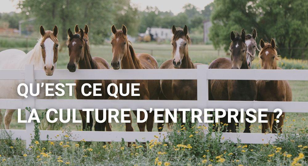 Qu'est ce que la culture d'entreprise ?