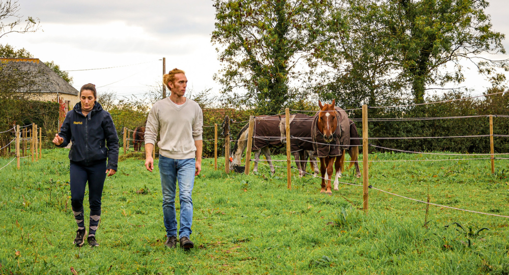 Haras de Saint Blaize : l'entente et l'équipement au service du bien-être au travail