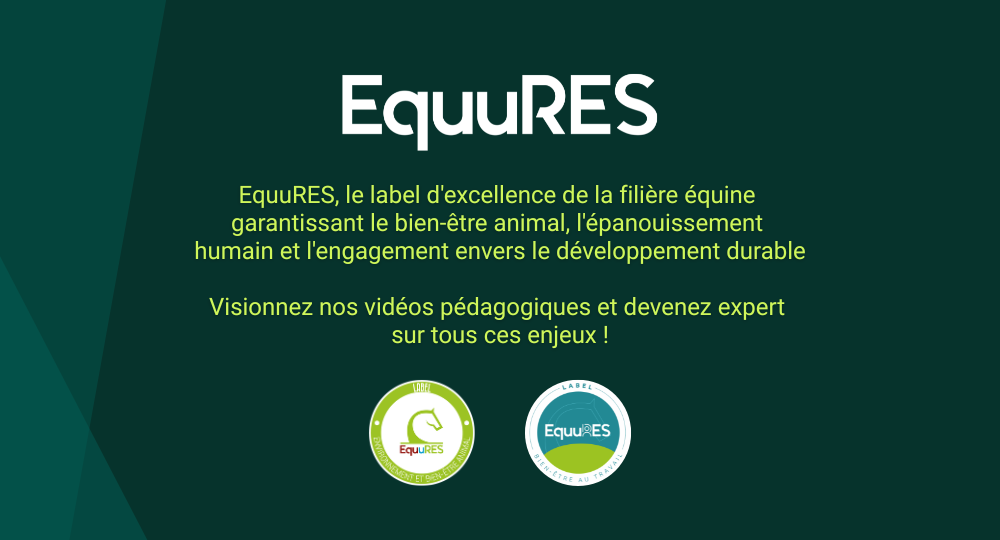 Formations équines : découvrez la nouvelle plateforme de vidéos EquuRES