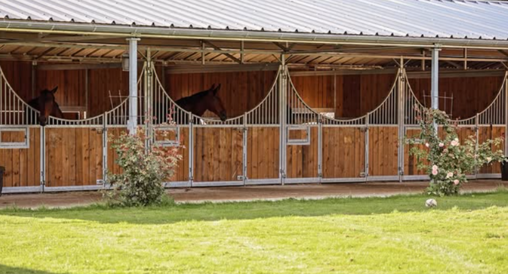 Haras de Saint Yves : une communication ouverte au service du bien-être au travail