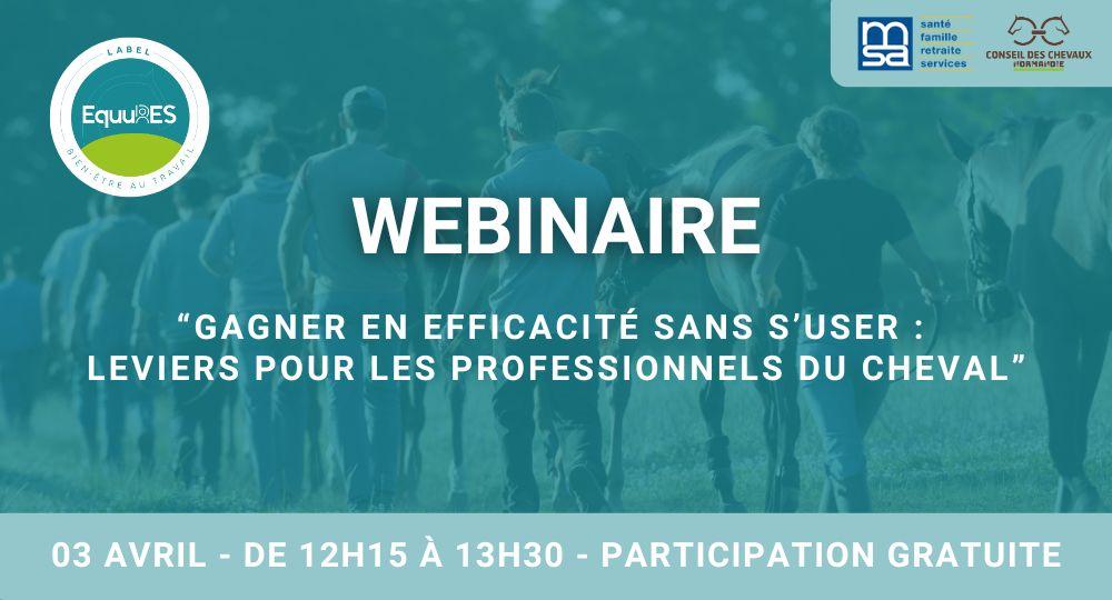 Webinaire : "Gagner en efficacité sans s’user : leviers pour les professionnels du cheval"