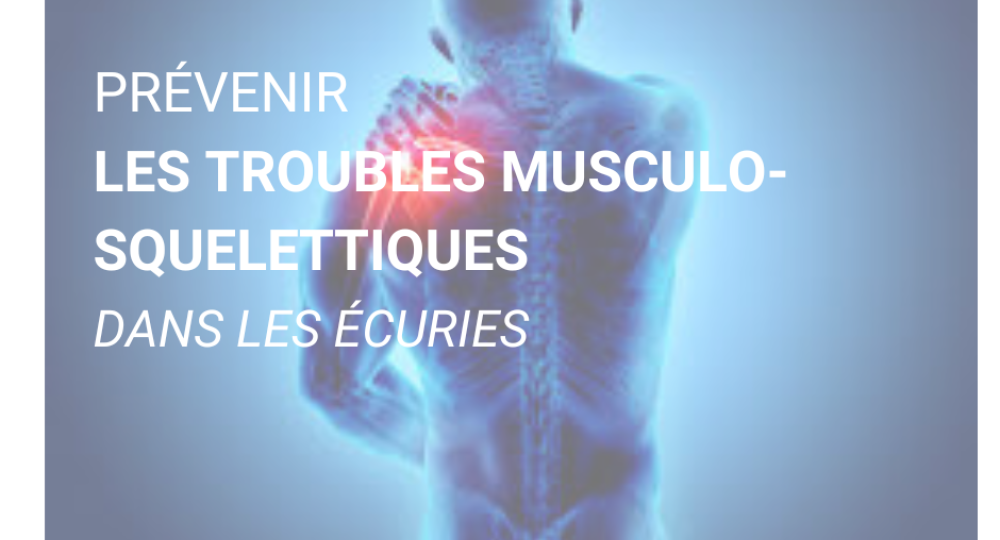 Prévenir les troubles musculo-squelettiques dans les écuries