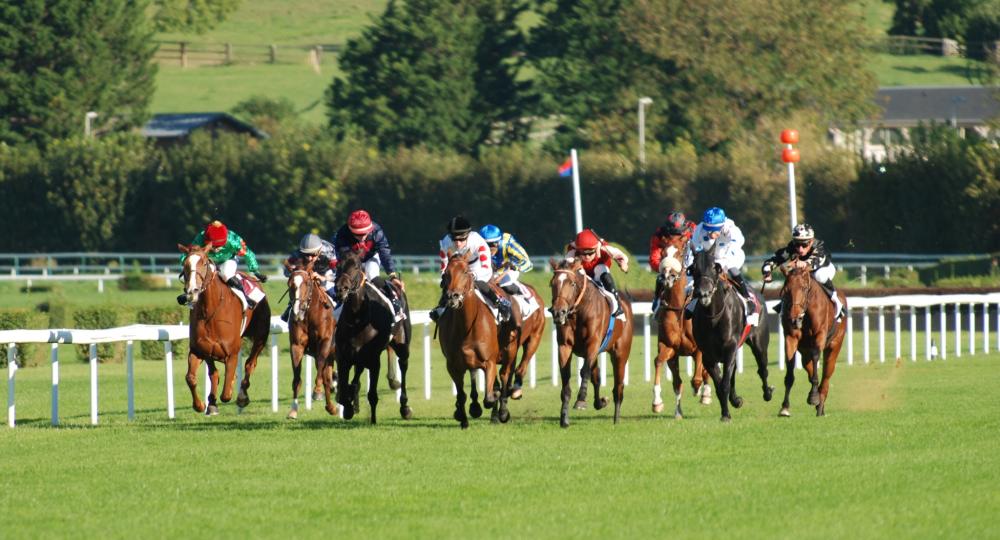 L'hippodrome de Clairefontaine, aux portes de Deauville, est le premier hippodrome labellisé EquuRES Bien-Être au Travail