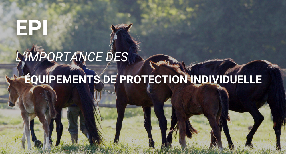 EPI : L'importance des Equipements de Protection Individuelle