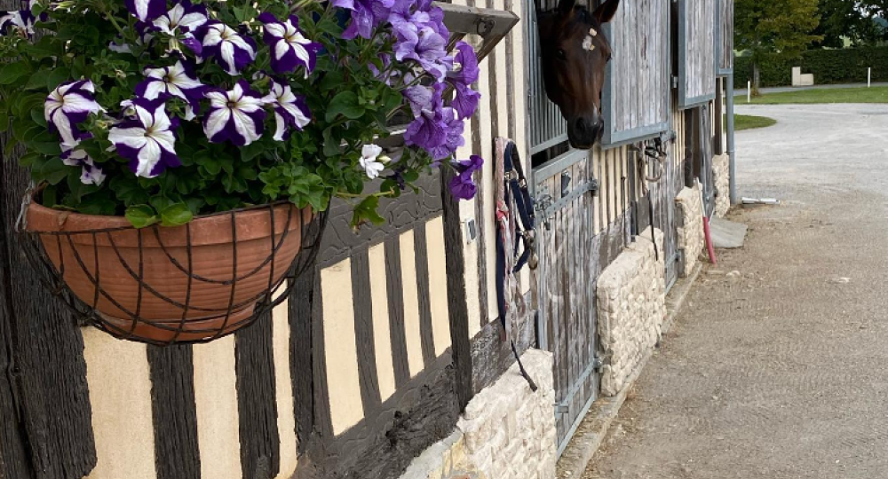 Le Haras de Vieux Pont s'engage auprès de ses salariés en se labellisant EquuRES Bien-Être au Travail au niveau progression !