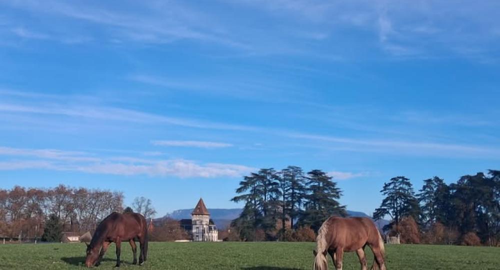 L'écurie Saint-Clair Fondation G. Boissel se labellise à l'échelon progression