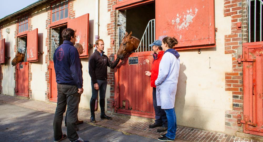 Encadrer et motiver une équipe intergénérationnelle dans la filière équine