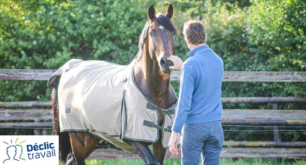 Améliorer la relation Humain - Cheval
