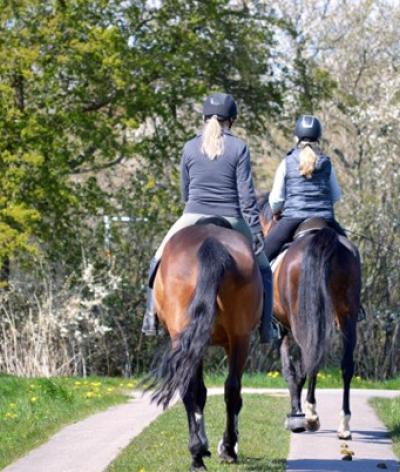 Bien-être au travail et stabilité des équipes : un enjeu économique