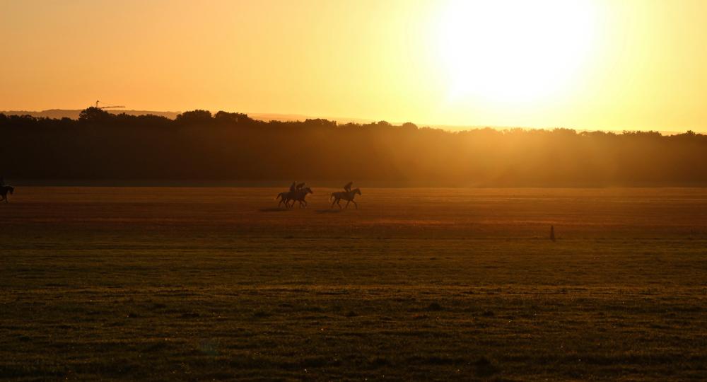 Le centre d'entraînement France Galop, à Chantilly, s'engage pour le bien-être de ses salariés