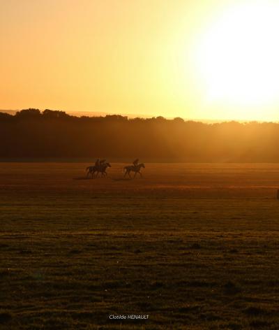 Le centre d'entraînement France Galop, à Chantilly, s'engage pour le bien-être de ses salariés