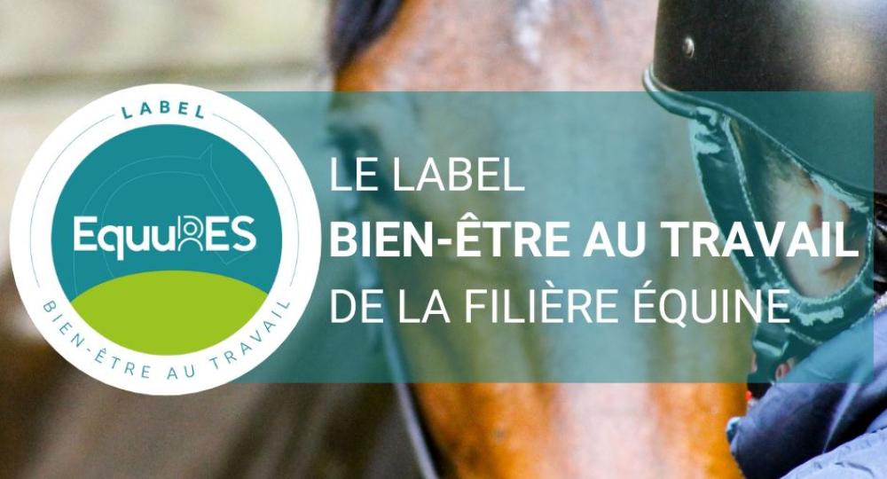 EquuRES, Équi-ressources et l’AFASEC lancent le premier label dédié au Bien-être au Travail dans la filière équine