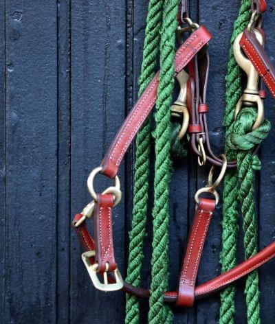Les accidents dans la filière équine