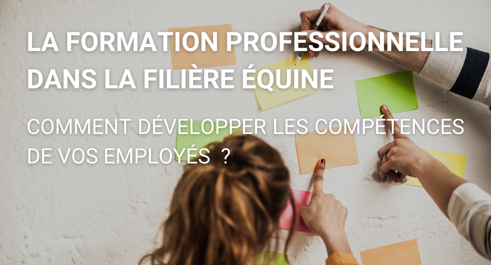 La formation professionnelle dans la filière équine : comment développer les compétences de vos employés ?