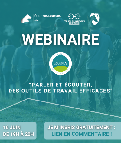 Webinaire EquuRES Bien-être au Travail : parler et écouter, des outils de travail efficaces