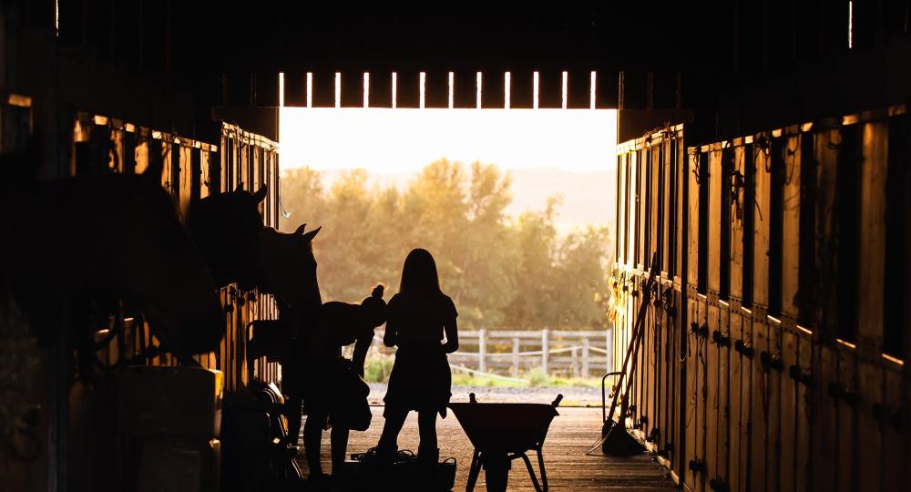Bien-être au travail et stabilité des équipes : un enjeu économique