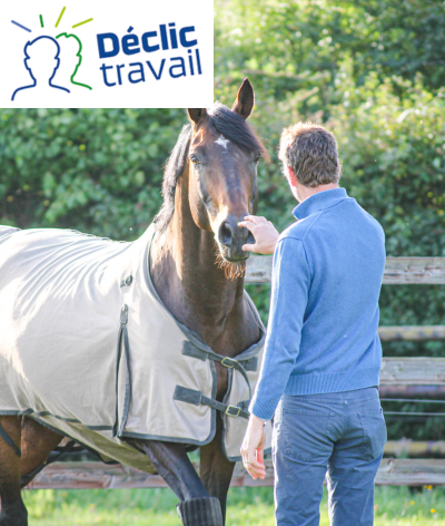 Améliorer la relation Humain - Cheval