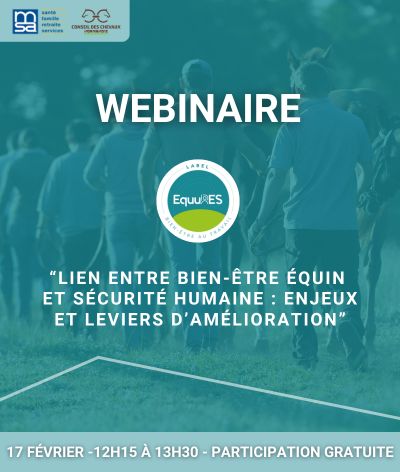 Webinaire : « Lien entre bien-être équin et sécurité humaine : enjeux et leviers d’amélioration »