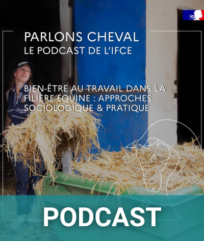 Podcast Parlons cheval - Bien-être au Travail dans la filière équine