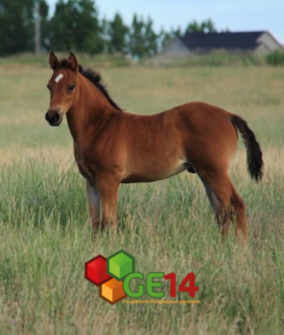 Comment un groupement d’employeurs peut vous aider ?