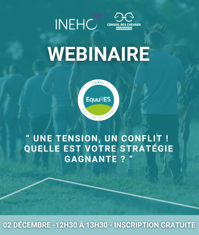 Webinaire : « Une tension, un conflit ! Quelle est votre stratégie gagnante ? »