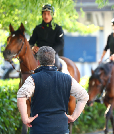 Le travail indépendant dans les courses hippiques : bonne ou mauvaise idée ?